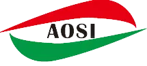 aositerminals.com